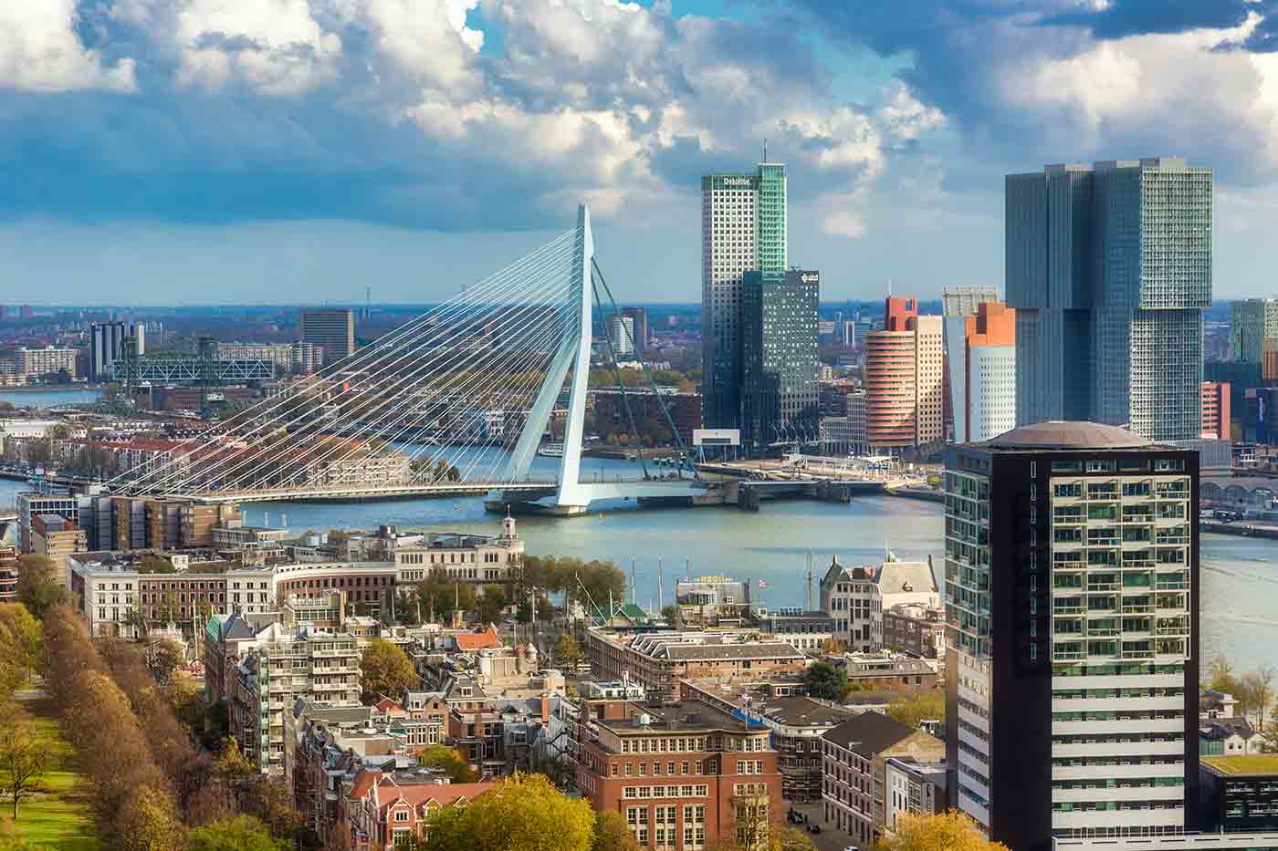 Rotterdam Tourist Attractions And Activities Things To Do In Rotterdam