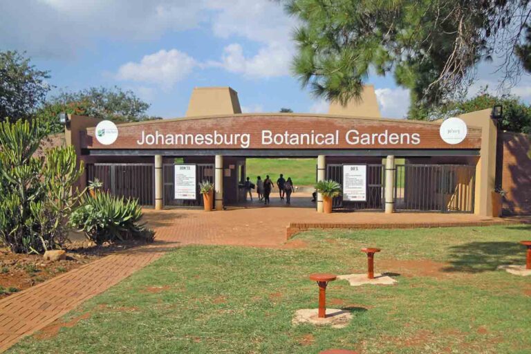 12+ Cool Places to See in Johannesburg Fun Things to Do in Joburg