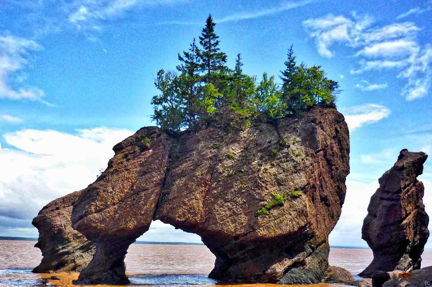 Hopewell Rocks Provincial Park