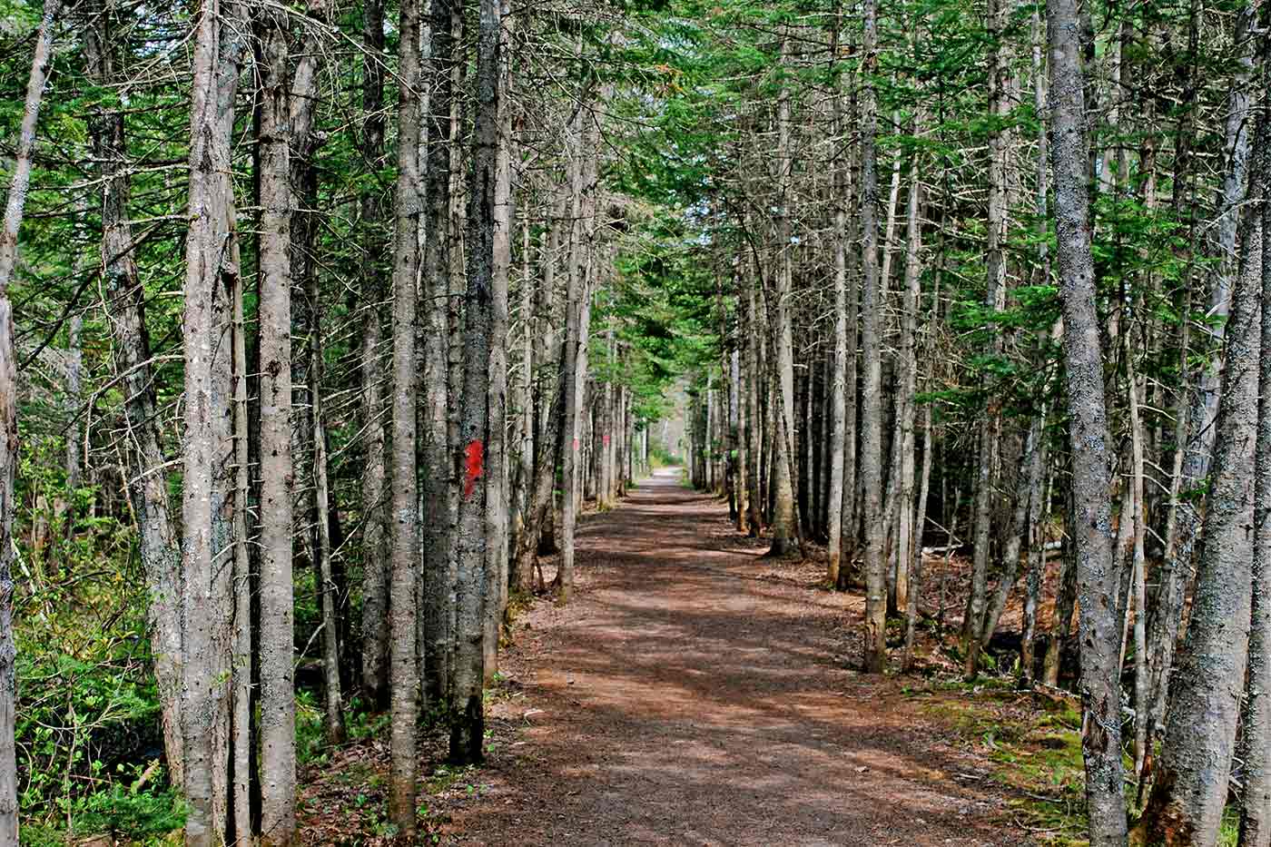 Irishtown Nature Park