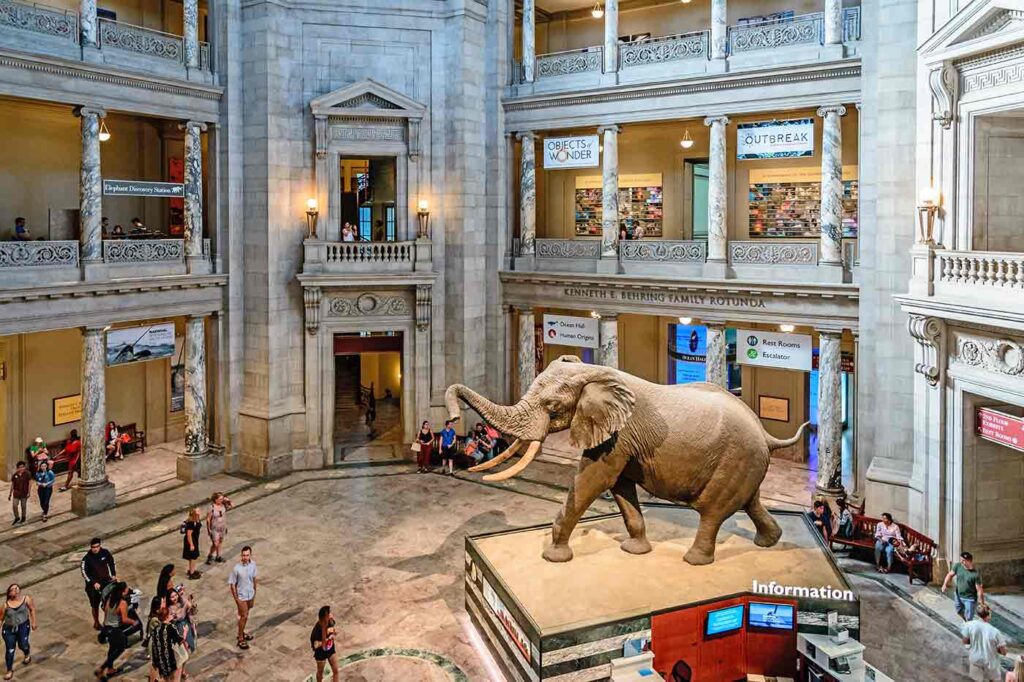 Washington, DC Tourist Attractions - 37 Things to Do in Washington, DC