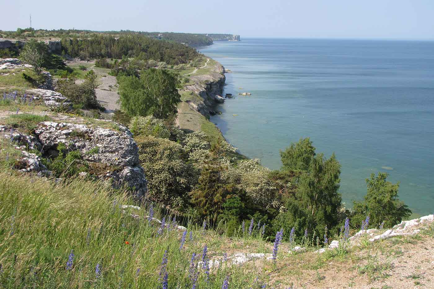 Högklint Nature Reserve