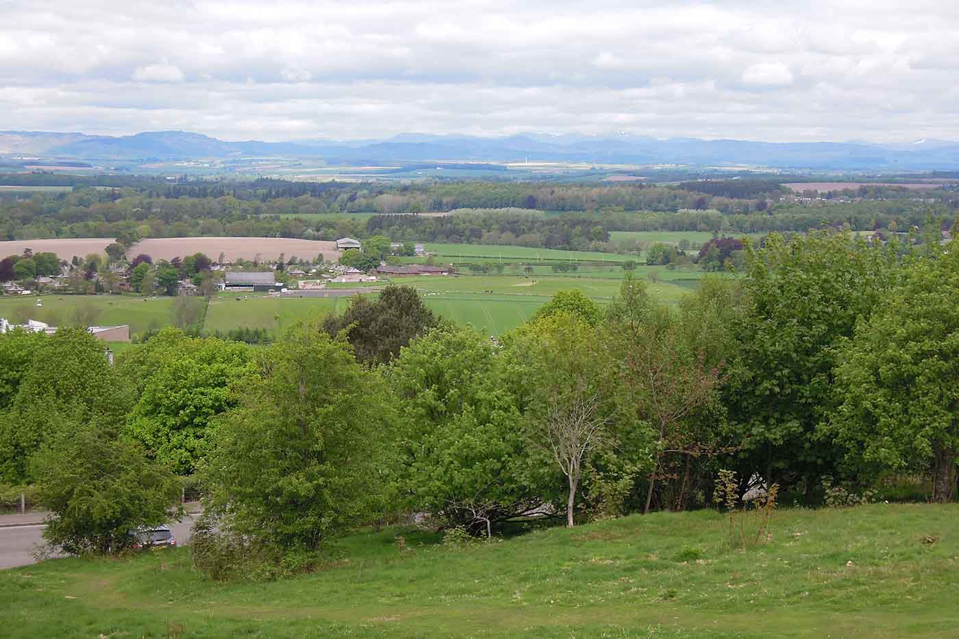 Kinnoull Hill Forest Park